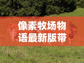 (三国人生模拟器内置修改器最新版)三国人生模拟器，穿越历史的游戏体验与思考