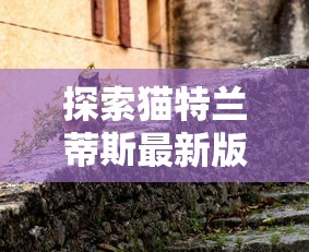 (生存战争饥荒中文版联机版)生存战争，饥荒中文版，探索与挑战的生存之旅