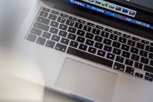 (只只大冒险steam叫什么)只只大冒险Steam补充内容解析，游戏体验升级与玩家互动新维度