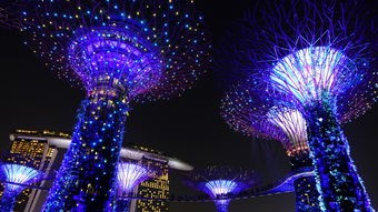 (笑神仙酒多少钱1瓶)笑神仙酒，探寻千年古方与现代生活的交融