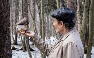 (飞雪连天射白鹿神侠倚碧鸳横批)金庸武侠世界中的飞雪连天射白鹿，神侠倚碧鸳，多元视角下的解读与思考