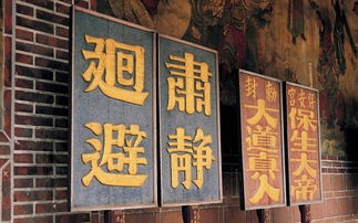 (掌门道途梦潮生小说在线阅读)掌门道途梦潮生内容解析与多元视角探讨