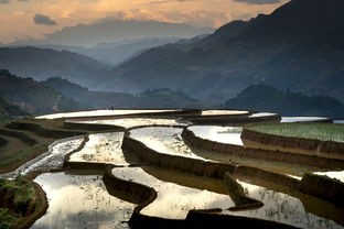 (江南百景图鸡鸣山星宿攻略)江南百景图，鸡鸣山的文化底蕴与旅游价值