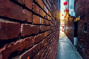 (城墙不能倒攻略)城墙不能倒，一场关于中国古城墙保护与发展的思考