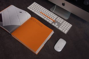 (u盘启动盘制作工具大白菜教程)深入解析大白菜U盘启动盘制作工具，功能、使用方法及常见问题解答