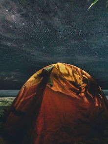(不朽之旅重生攻略图文)不朽之旅重生攻略，探索新世界，挑战无限可能