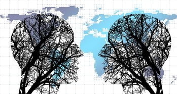 (行界:零下载最新2019)行界官方网站入口，探索数字世界的门户