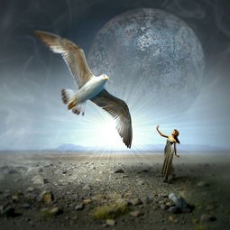 (天涯online2之艾鲁大陆攻略)艾鲁大陆，一个奇幻世界的多元解读与探讨