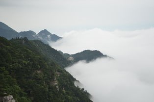(水墨云湖在哪)探秘淡墨水云乡，一款即将面世的神秘游戏，何时能玩？