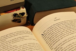 (好男儿纵横天下歌词)纵横天下歌词解析，情感、历史与人生的交响