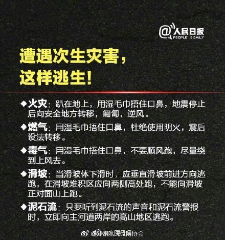 逃生指南内置菜单下载-逃生指南2024最新版本下载v.1.77